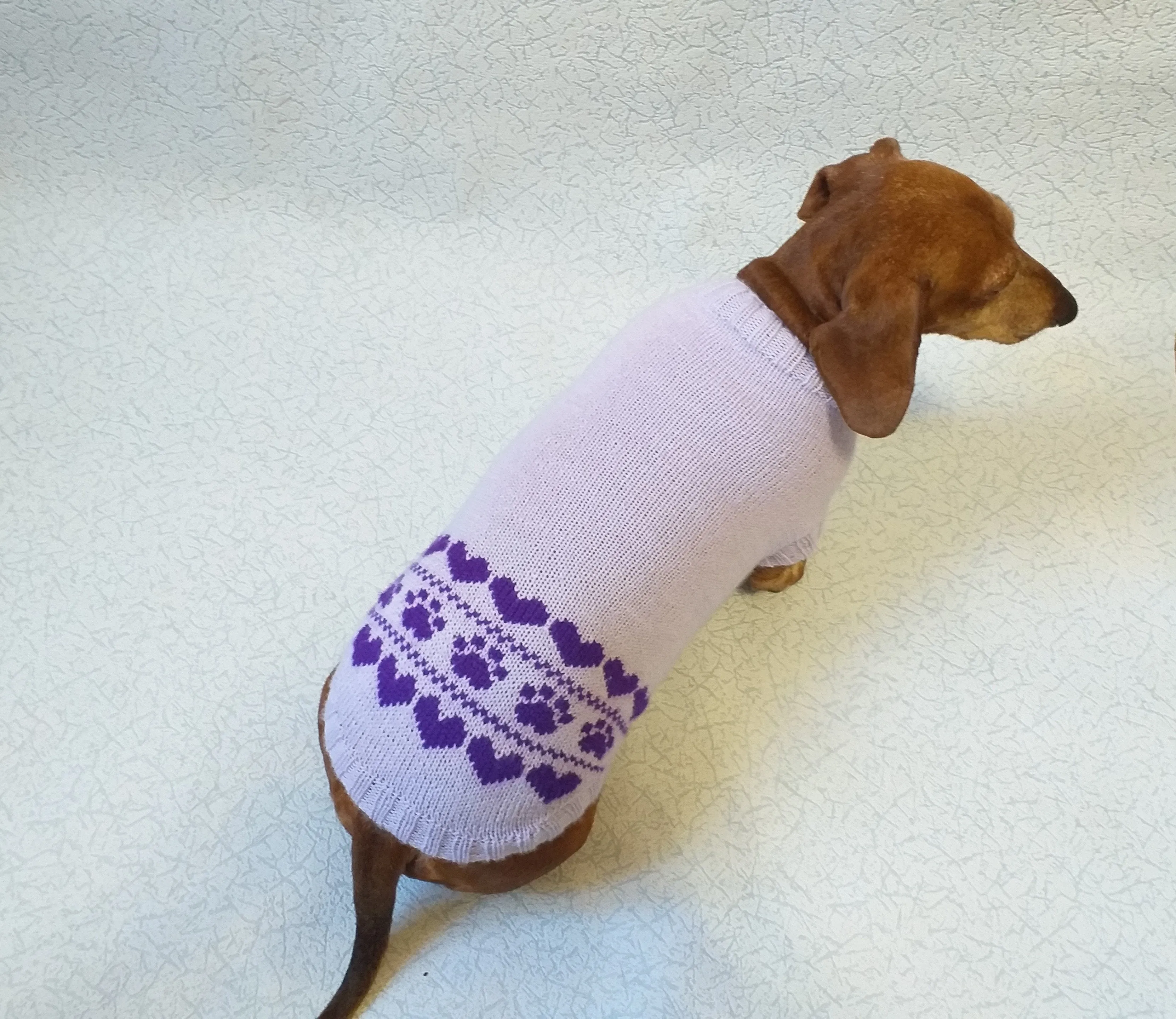 Lilac knitted sweater for dogs, clothes for dachshunds, sweater for dogs, clothes for dogs, sweater for small dogs, dachshund sweater
