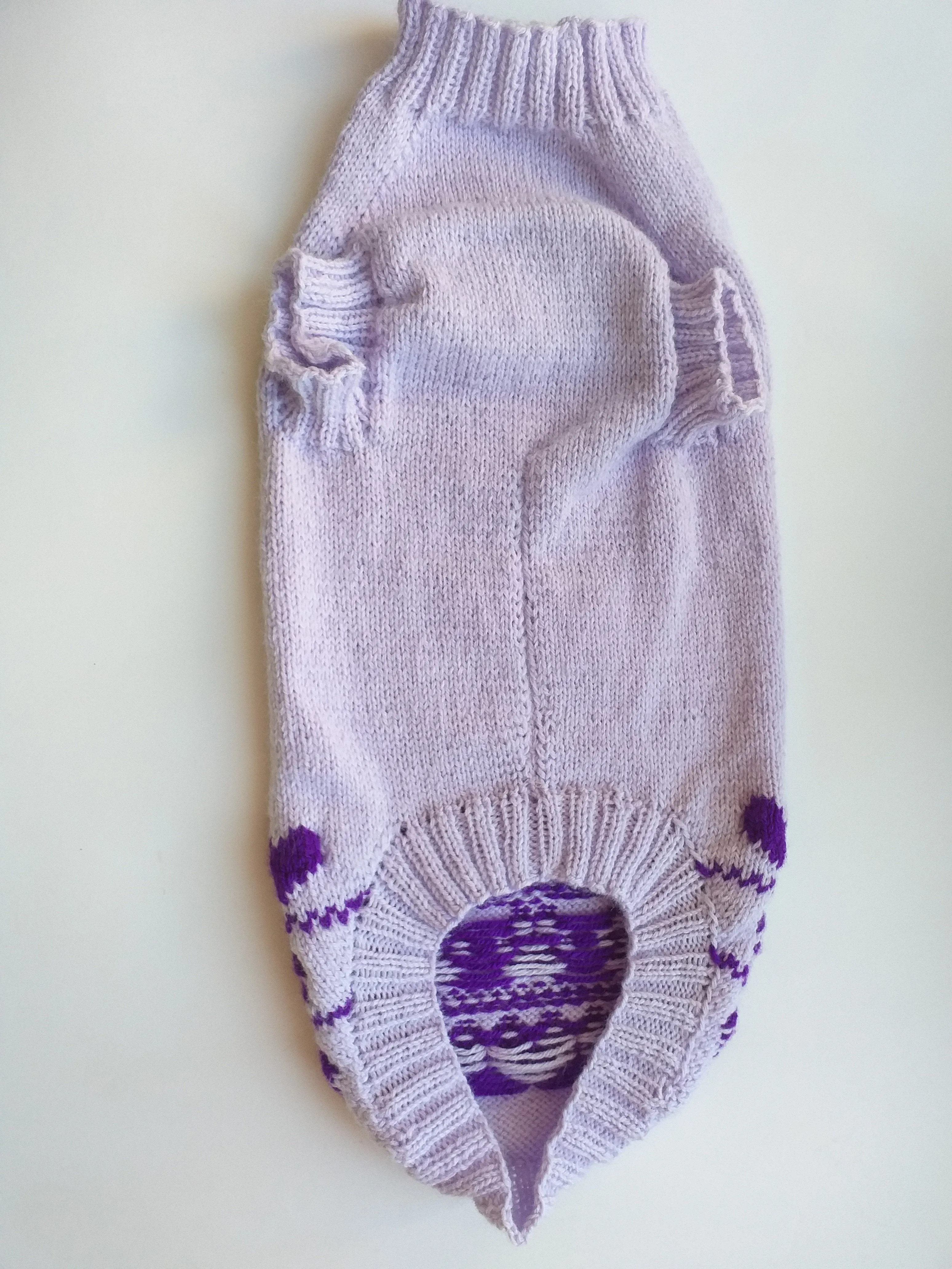 Lilac knitted sweater for dogs, clothes for dachshunds, sweater for dogs, clothes for dogs, sweater for small dogs, dachshund sweater