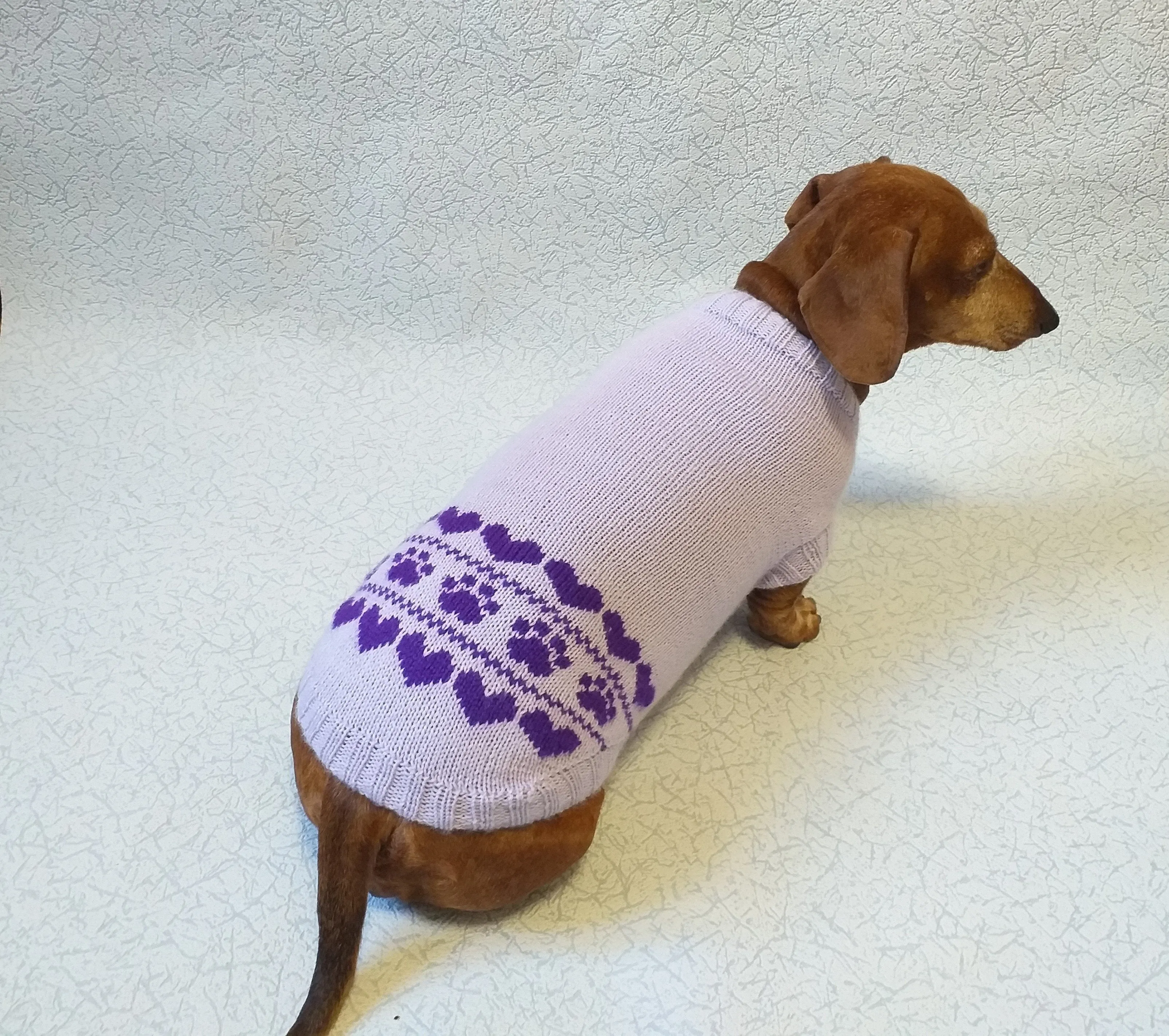 Lilac knitted sweater for dogs, clothes for dachshunds, sweater for dogs, clothes for dogs, sweater for small dogs, dachshund sweater