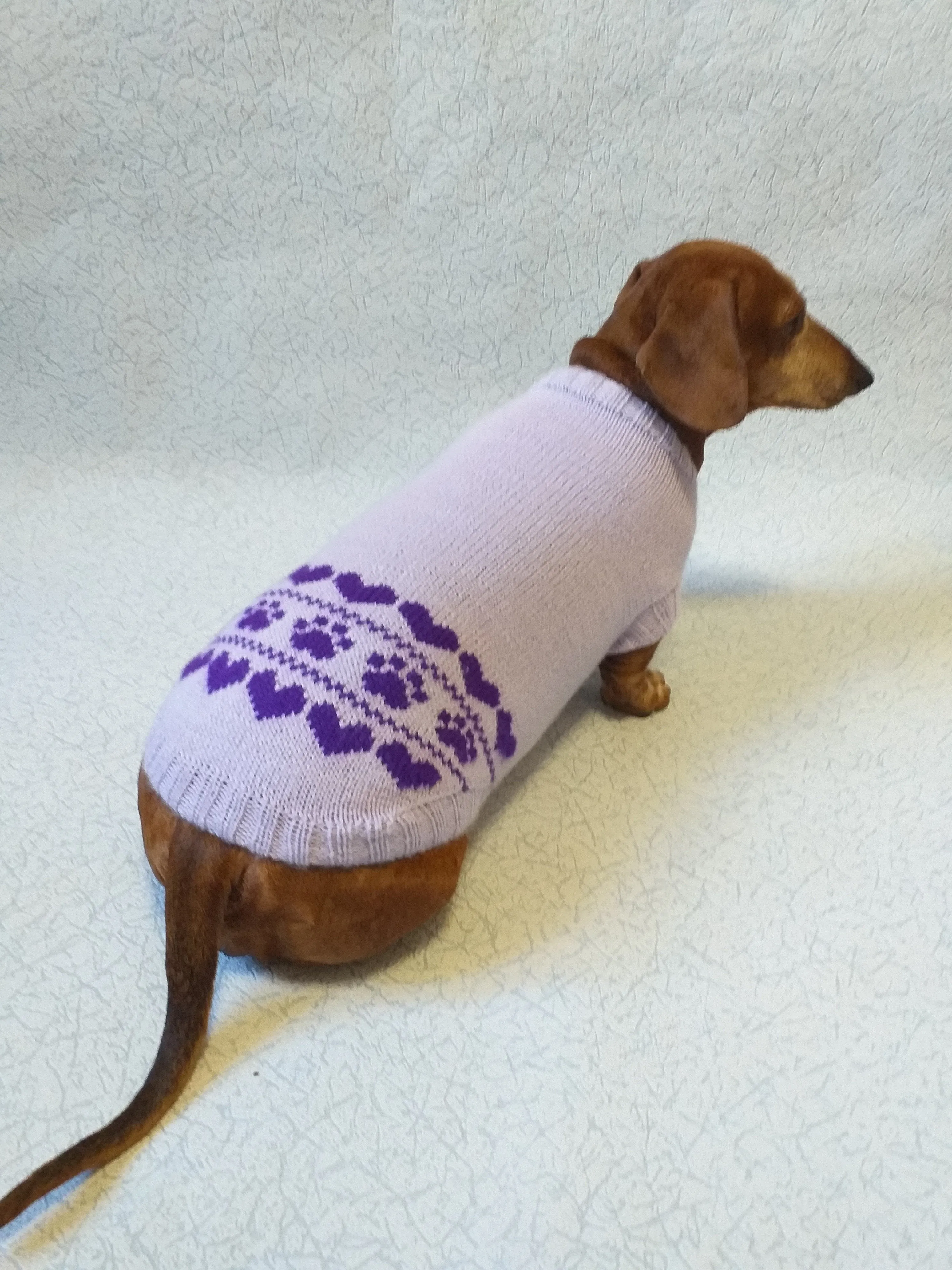 Lilac knitted sweater for dogs, clothes for dachshunds, sweater for dogs, clothes for dogs, sweater for small dogs, dachshund sweater