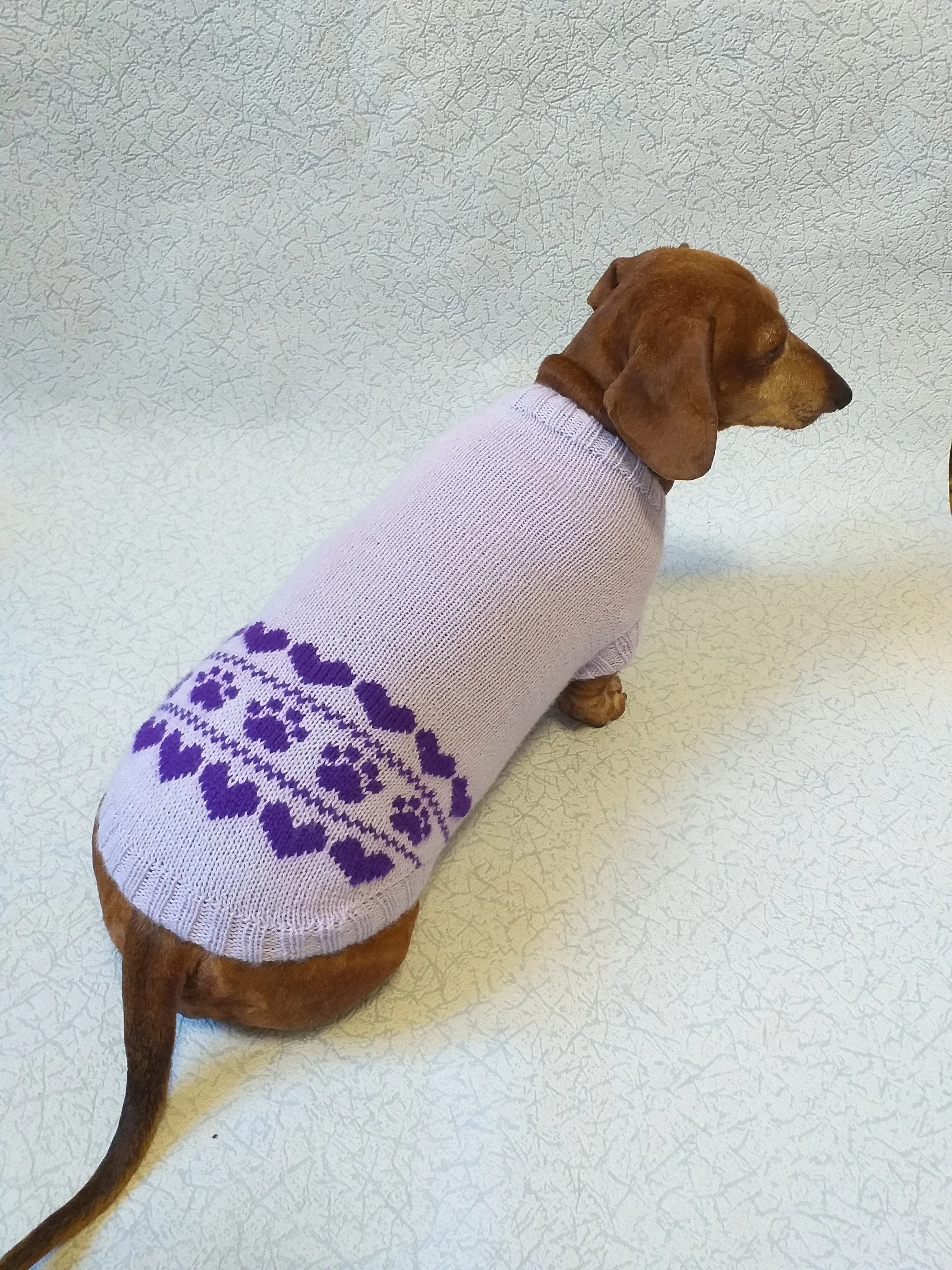 Lilac knitted sweater for dogs, clothes for dachshunds, sweater for dogs, clothes for dogs, sweater for small dogs, dachshund sweater